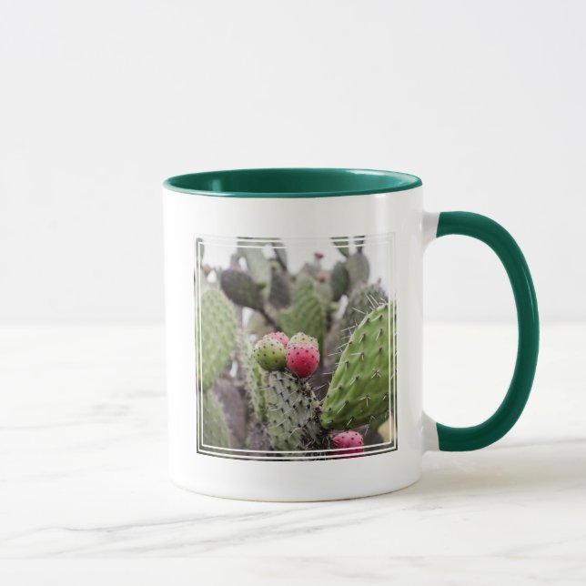 Närbild på Opuntia Mugg (Höger)