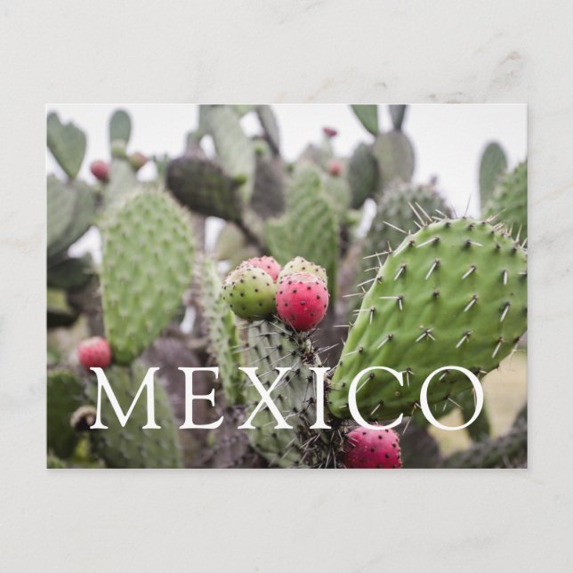 Närbild på Opuntia Vykort (Framsida)