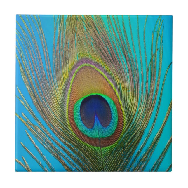 Närbild på påfågelns fjäder kakelplatta (Framsidan)