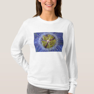 Närbild på passionblomma med dagg. Kredit: Don Tee Shirt