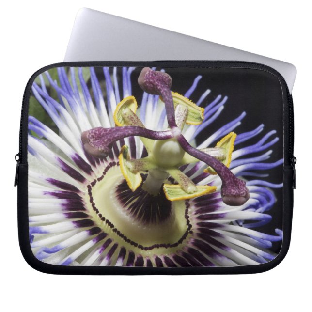 Närbild på passionsblomma (MR) Laptop Fodral (Framsidan)