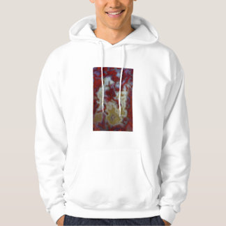 Närbild på röd Moss Agate-skiva Hoodie