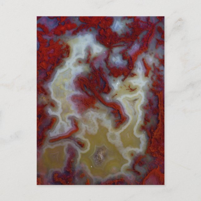 Närbild på röd Moss Agate-skiva Vykort (Framsida)