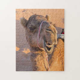 Närbild på rolig kamelhuvud i Oman Wahiba-öknen Pussel