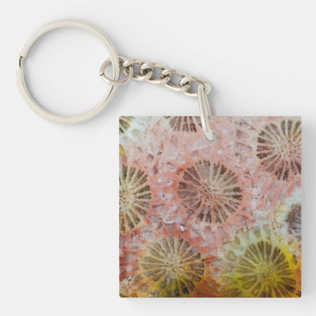 Närbild på rosa korall (Framsidan)