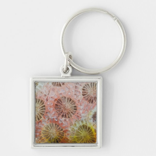 Närbild på rosa korall fyrkantig silverfärgad nyckelring (Framsidan)