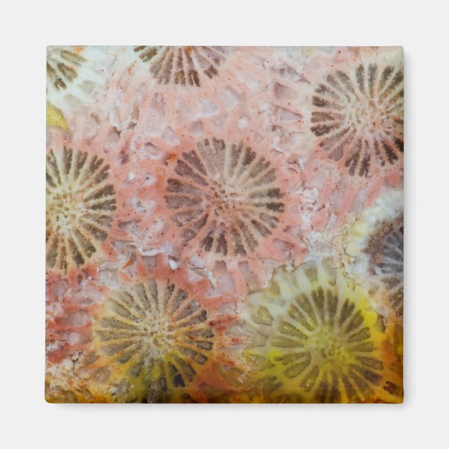 Närbild på rosa korall magnet (Framsidan)