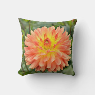 Närbild på rosa och orange Georgina-blomma Kudde