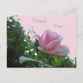 Närbild på rosa ros tackkort vykort