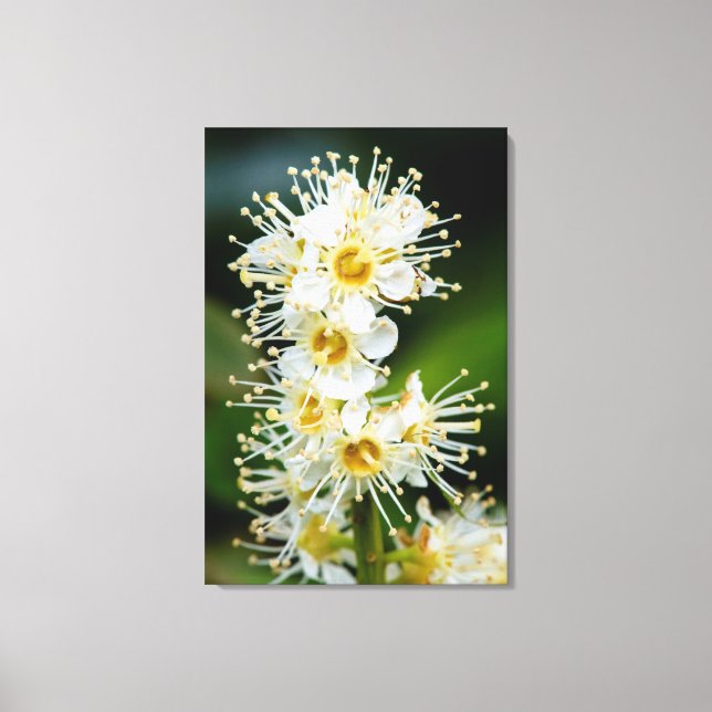 Närbild på små blommor canvastryck (Framsida)