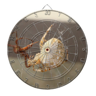Närbild på spindel darttavla