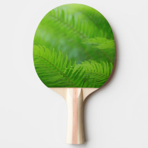 Närbild på svärdbräken pingisracket