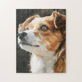 Närbild på terrier chihuahua blandras hund pussel