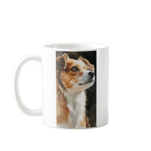 Närbild på terrier chihuahua blandrashund