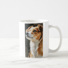Närbild på terrier chihuahua blandrashund kaffemugg