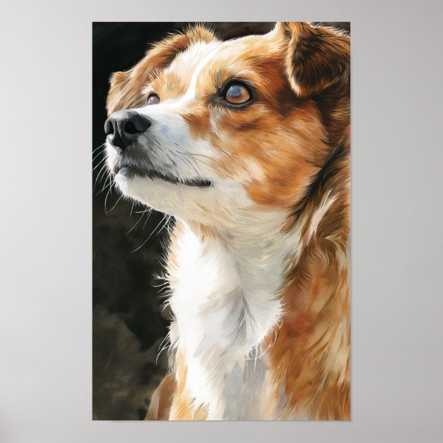 Närbild på terrier-chihuahua blandrashund poster (Framsidan)