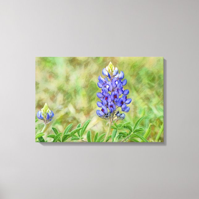 Närbild på Texas Bluebonnet-blomma Konst Canvastryck (Framsida)