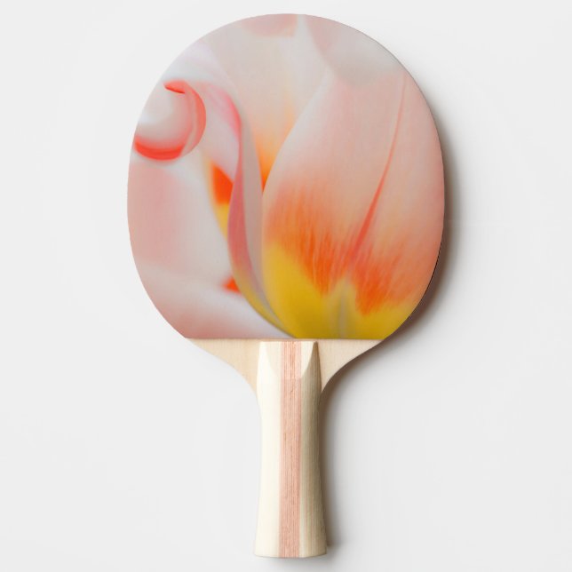 Närbild på tulpan 3 pingisracket (Framsidan)