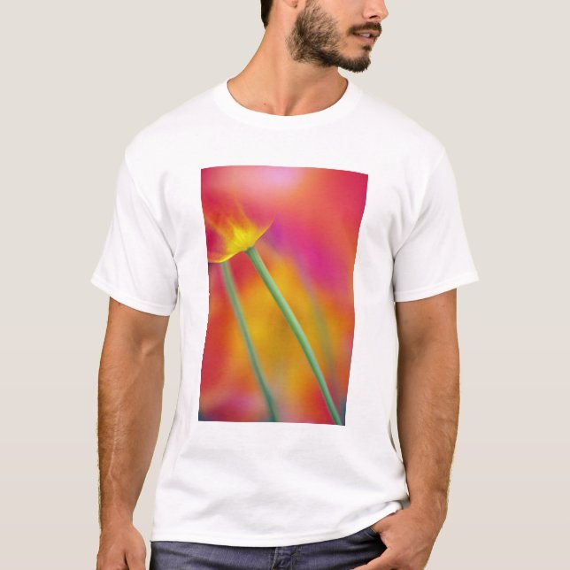 Närbild på undersidan av tulpanblomma, t-shirt (Framsida)