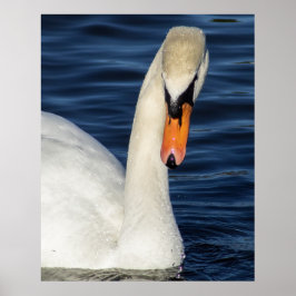 Närbild Poster