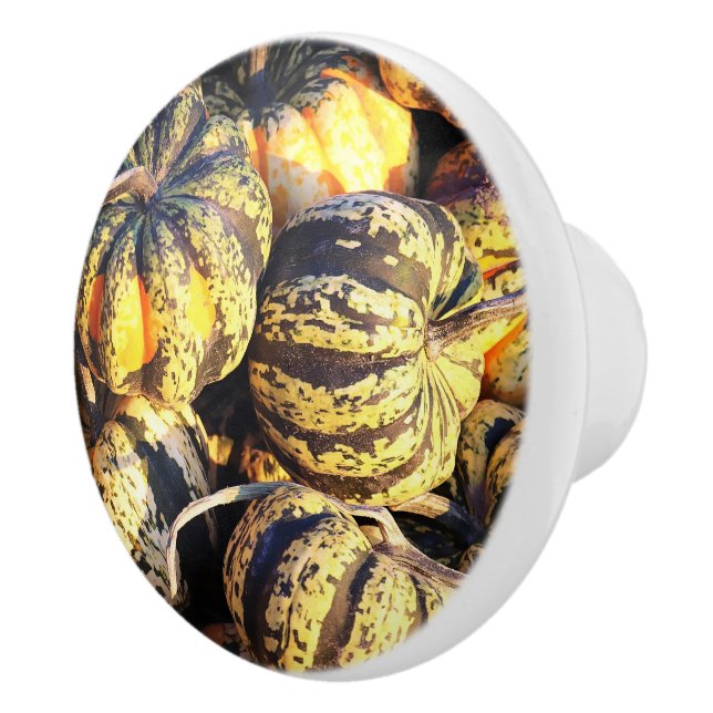 Närbild Randiga pumpor  Knopp (Höger)