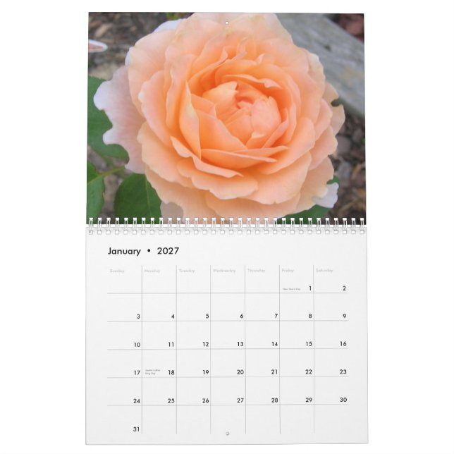 Närbildblommor Kalender (Jan 2027)