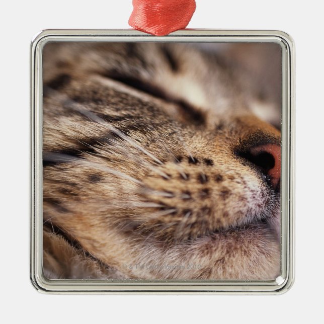 Närbilden av kattwhiskers och tystar ned julgransprydnad metall (Framsidan)