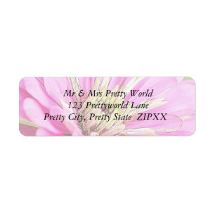 Närbilden beskådar av en delikat rosa zinnia returadress etikett