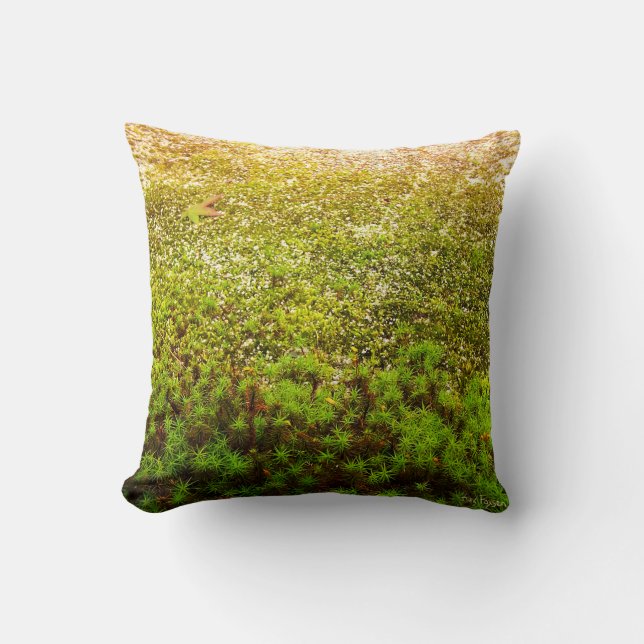 Närbildfoto av grön Haircap Moss Kudde (Framsida)