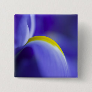 Närbildsdetalj av en blå flagga iris. knapp