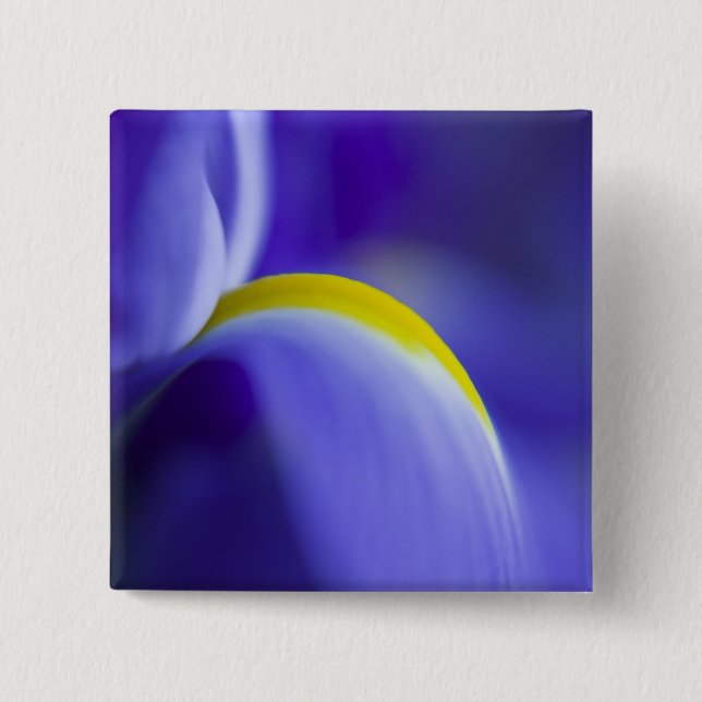 Närbildsdetalj av en blå flagga iris. knapp (Framsida)