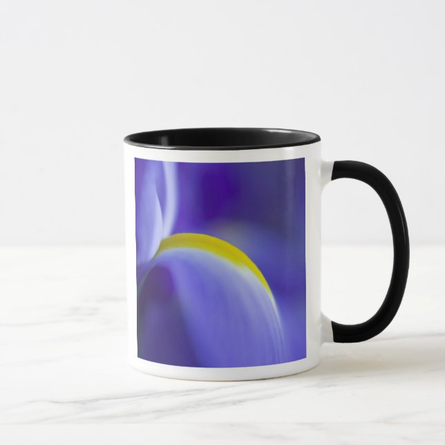 Närbildsdetalj av en blå flagga iris. mugg (Höger)