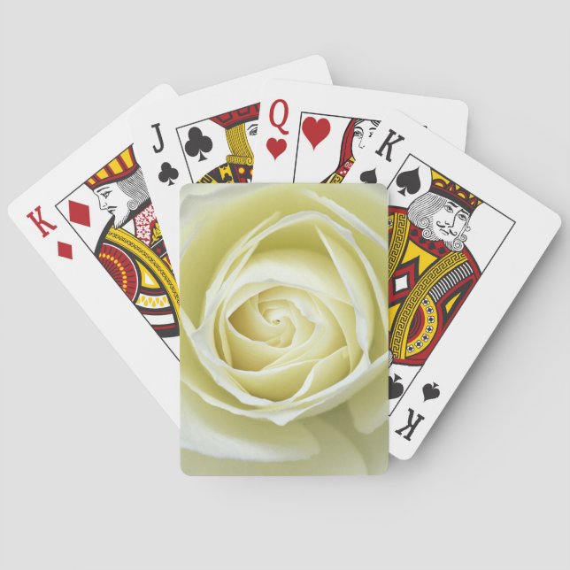 Närbildsdetaljer av vit ros casinokort (Baksidan)