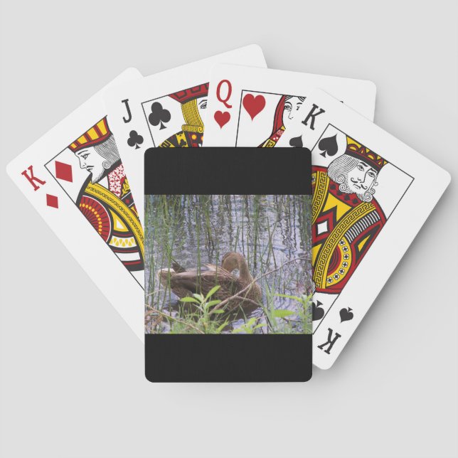 Närbildsfoto av en anka casinokort (Baksidan)