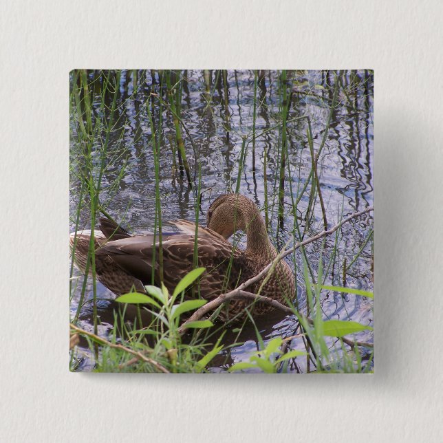 Närbildsfoto av en anka knapp (Framsida)