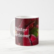 Närbildsfoto på röd suckulent för Master Gardener