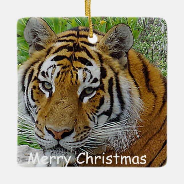 Närbildsfoto på sibirisk tigeransikte julgransprydnad keramik (Framsida)