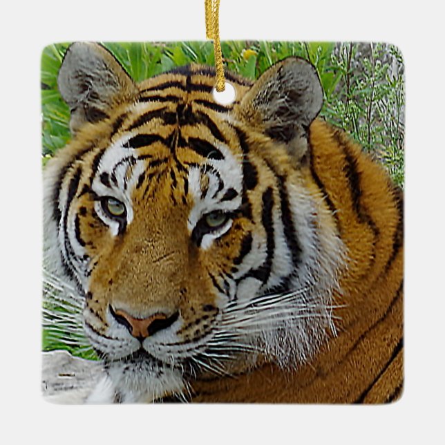 Närbildsfoto på sibirisk tigeransikte julgransprydnad keramik (Framsida)
