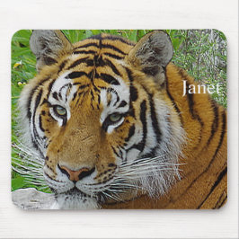 Närbildsfoto på sibirisk tigers ansikte musmatta
