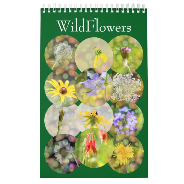 Närbildsfotografering av vilda blommor kalender (Omslag)