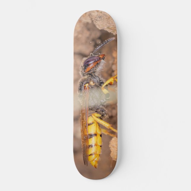 Närbildsfotografi av en geting mini skateboard bräda 18,5 cm (Framsida)