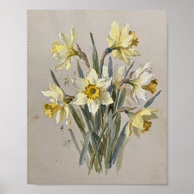 Narciss är födelsemånadens blomma för mars I Poster (Framsidan)
