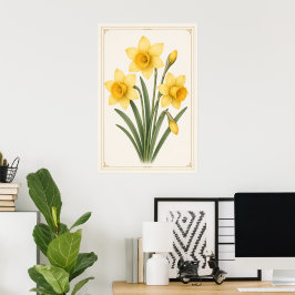 Narciss Botanisk, Mars Födelsedagsblomma Poster