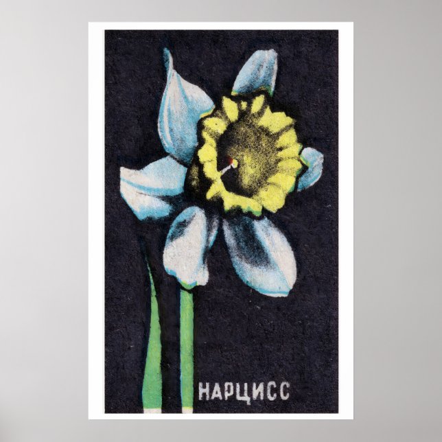 Narciss - Matchbox Print - Estetisk Väggkonst (Framsidan)