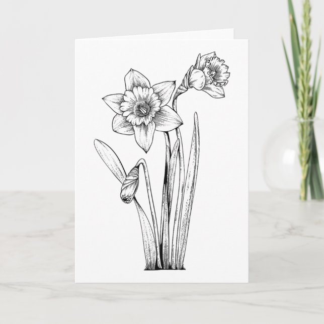Narciss Narcisser Blommor Blommig Vår Påsk  Kort (Framsida)