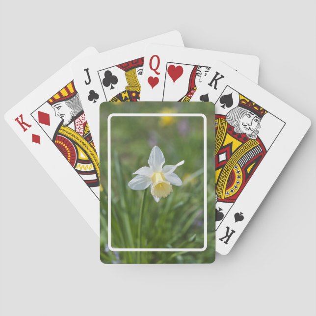 Narciss Spel Kort (Baksidan)