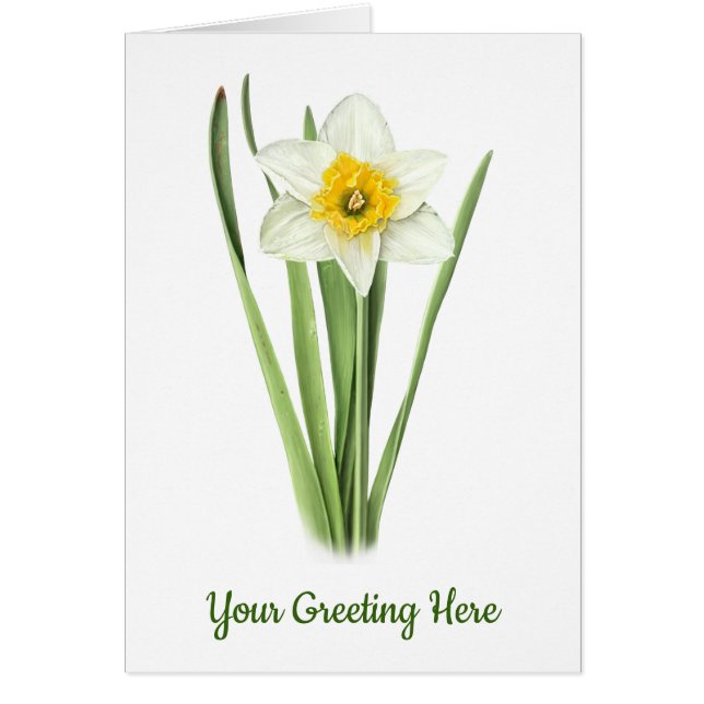 Narcissblomma Hälsningskort (Framsidan)