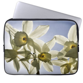 Narcissen die bloeien met een lente blauwe lucht  laptop fodral
