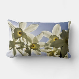 Narcissen die bloeien met een lente blauwe lucht  lumbarkudde