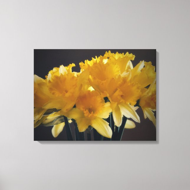 Narcisser Blommor Canvas Fotografisk Konst (Framsida)